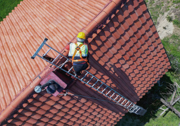 Best Storm Damage Roof Repair  in Hornell, NY